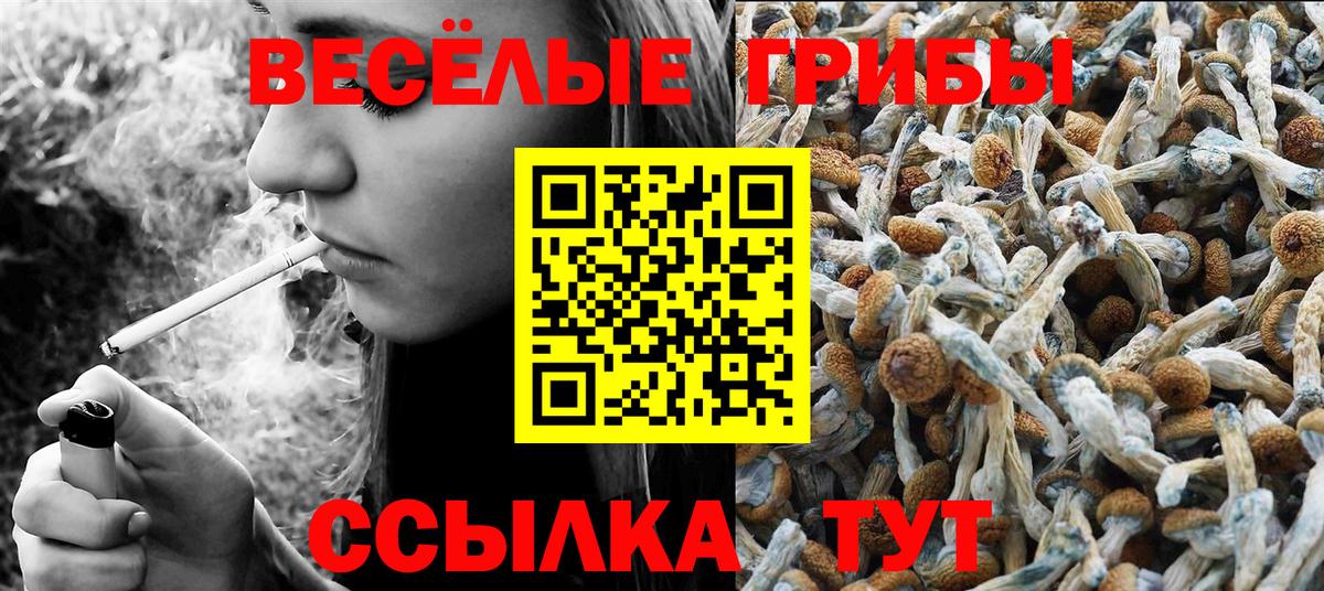 Егорьевск  наркошоп  Вход с VPN  Псилоцибиновые грибы мухоморы 